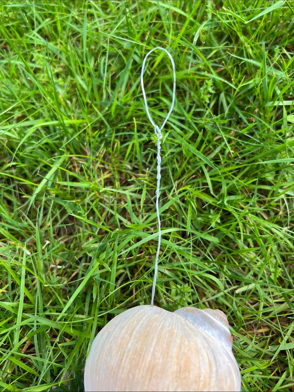 Handmade Seashell Wind Chime - Natural Shells - Picture 10 of 10